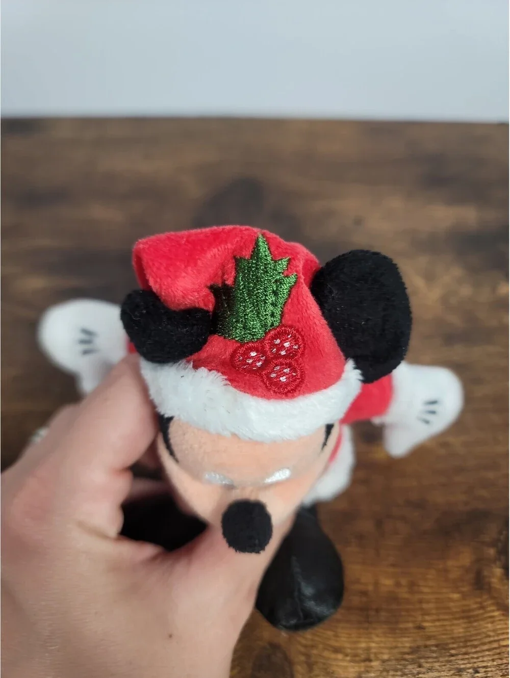 Disney this parks